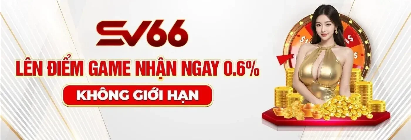 SV66 Banner